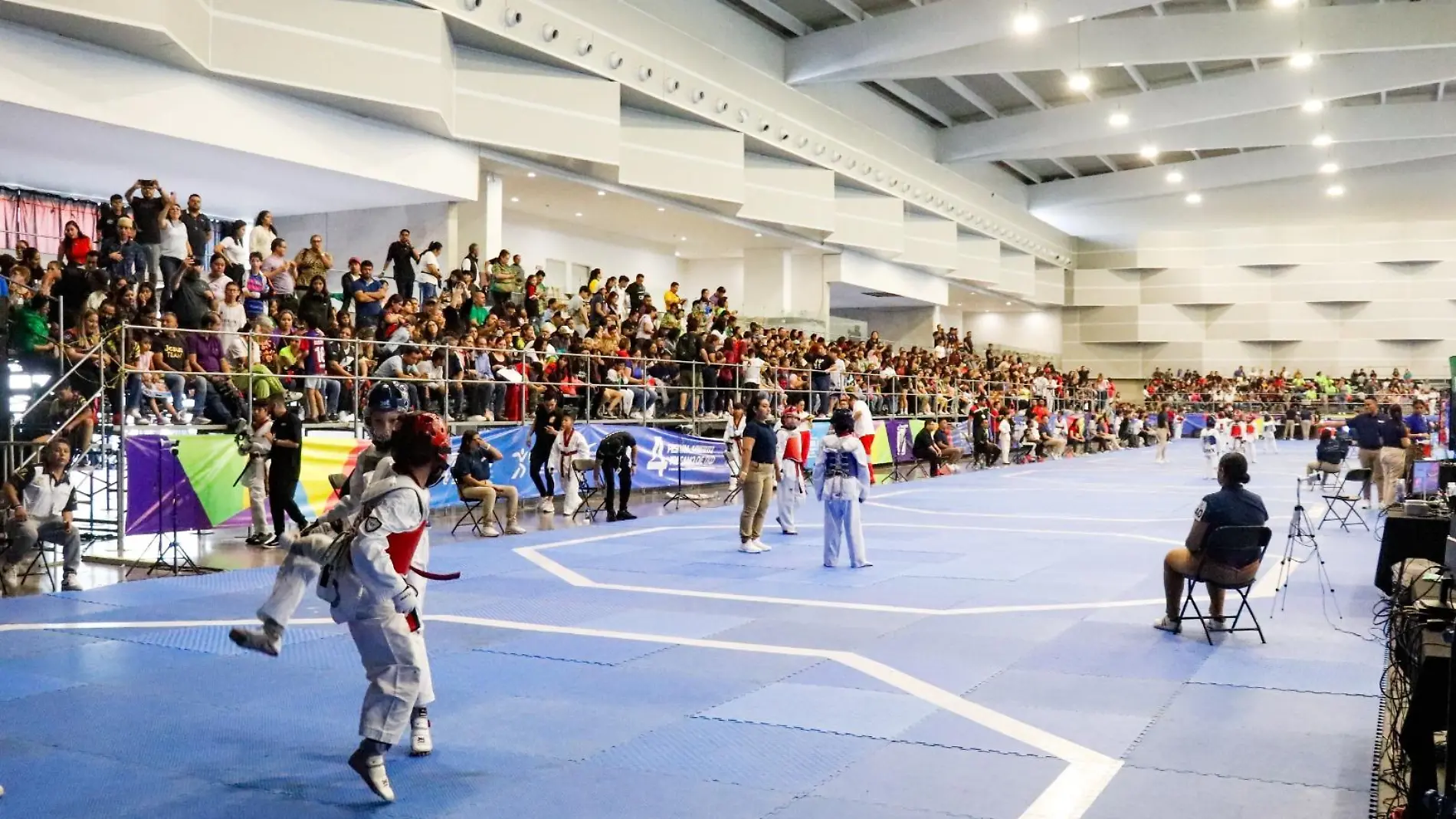 Festival Abierto de Taekwondo